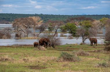 Tanzania - 7-day Best of Northern Tanzania - Group accommodated